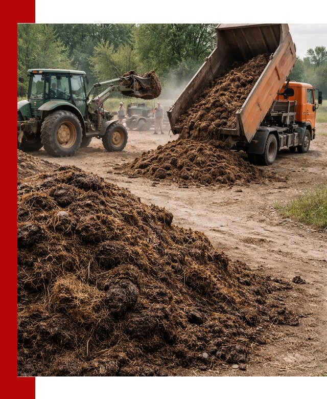 Доставка навоза самосвалами в Новороссийске для сельхозпотребностей