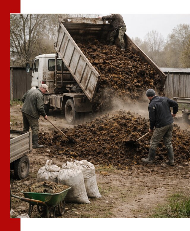 Доставка коровьего навоза самосвалом в Новороссийске
